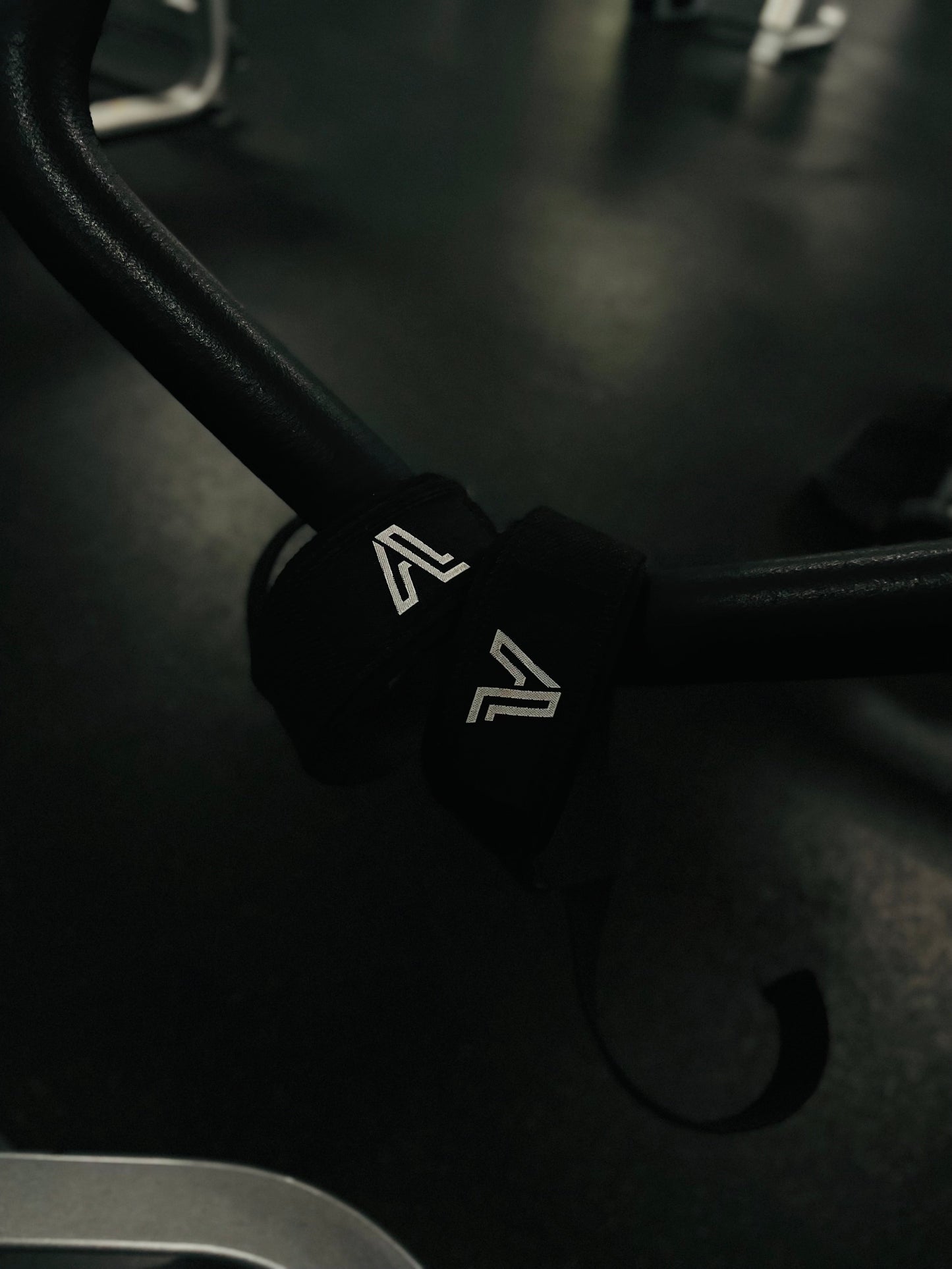 Strength Training Straps